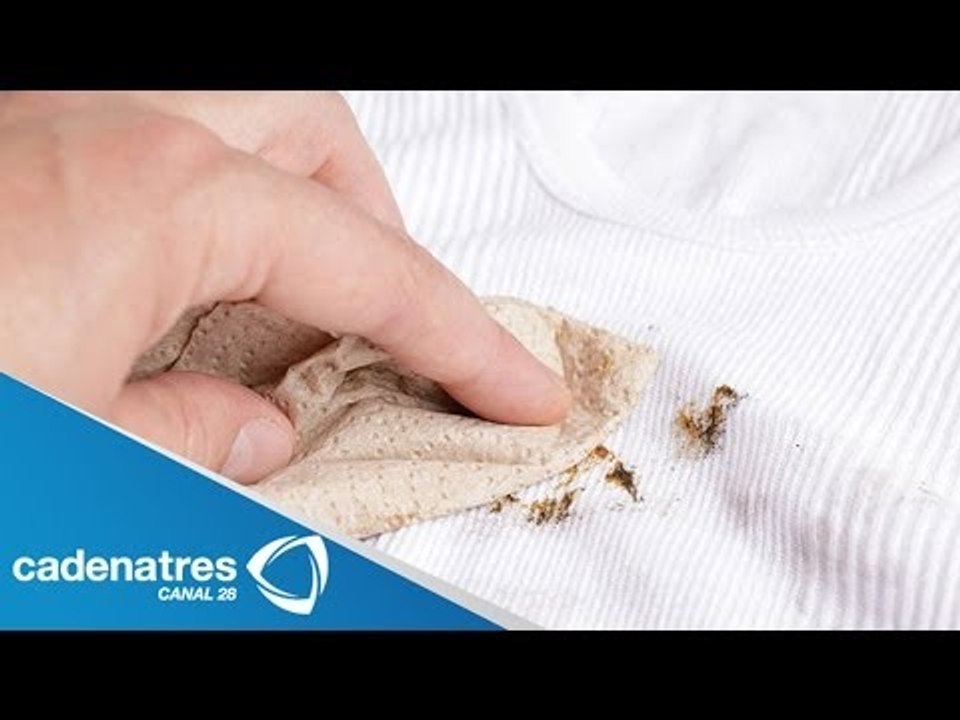 ¿Cómo quitar las manchas de la ropa? / Quitar manchas de ropa
