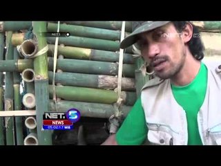Warga Masih Sandera Macan Tangkapan - NET5