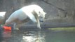 Oregon Zoo animals make a splash during heatwave
