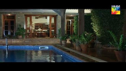 Woh Aik Pal Episode 21  - 5th August 2017