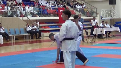 Uluslararası Altın Safran Türkiye Açık Kyokushin Şampiyonası