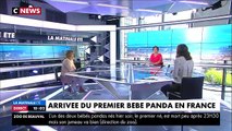 Chantal Goya sur CNews pour parler des Pandas