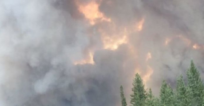 Wildfire Shuts Road Through Canadian Rockies