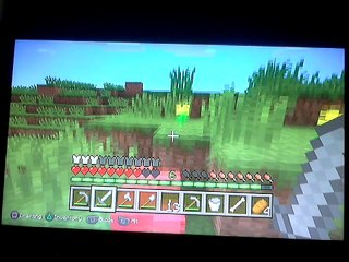 Mincraft lets play part 1