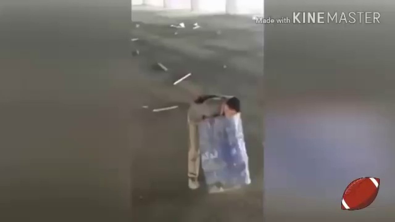 Funny & Also Reality 2017