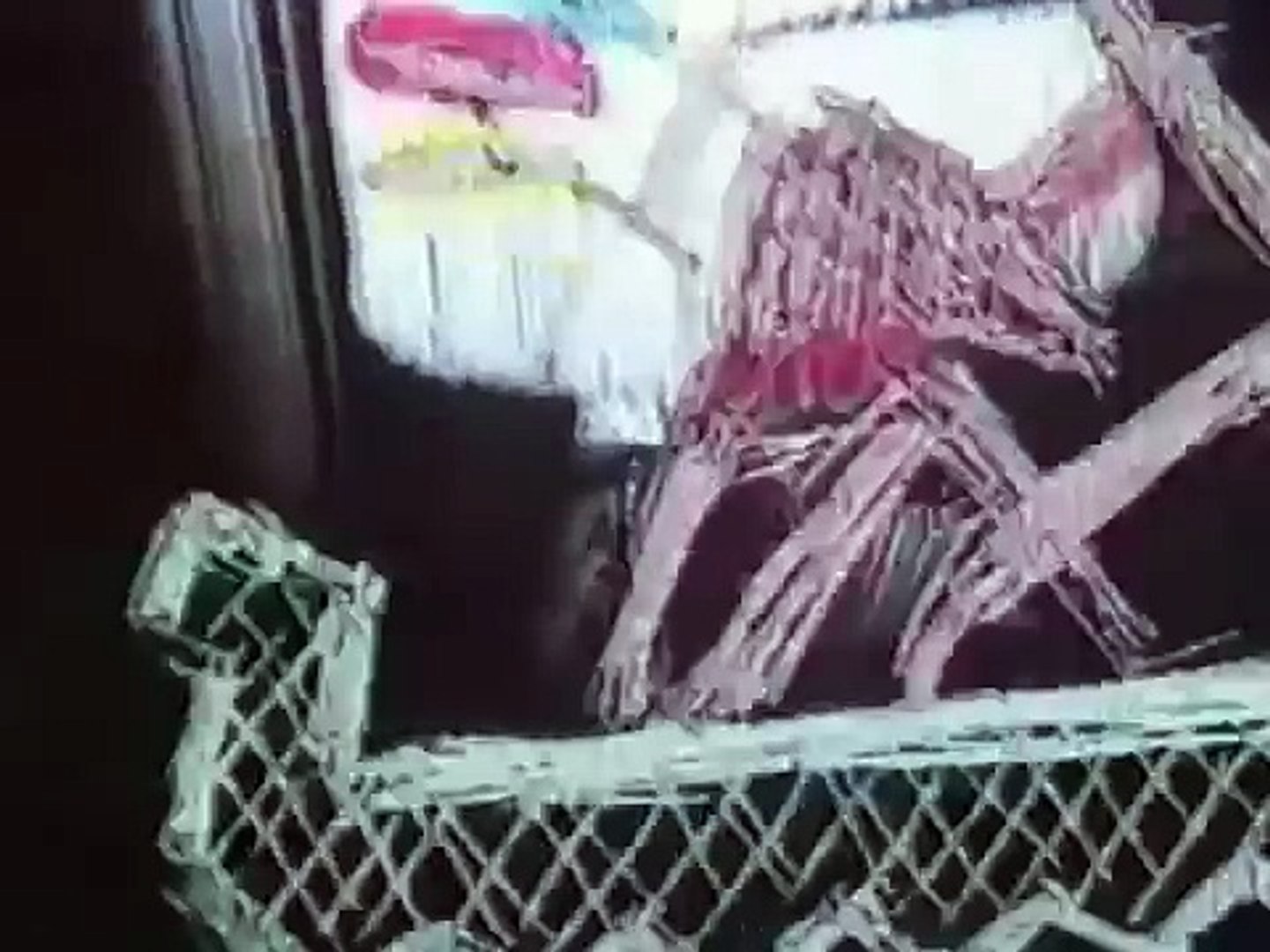 ⁣Ноль - Песня О Настоящем Индейце