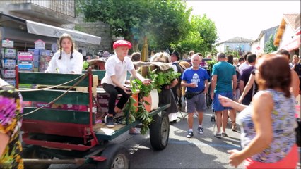 Ruoms : clapping géant pour la Fête des vigneron