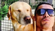 FAMOUS FOOTBALLERS AND THEIR DOGS! _ FunChannel _ HD