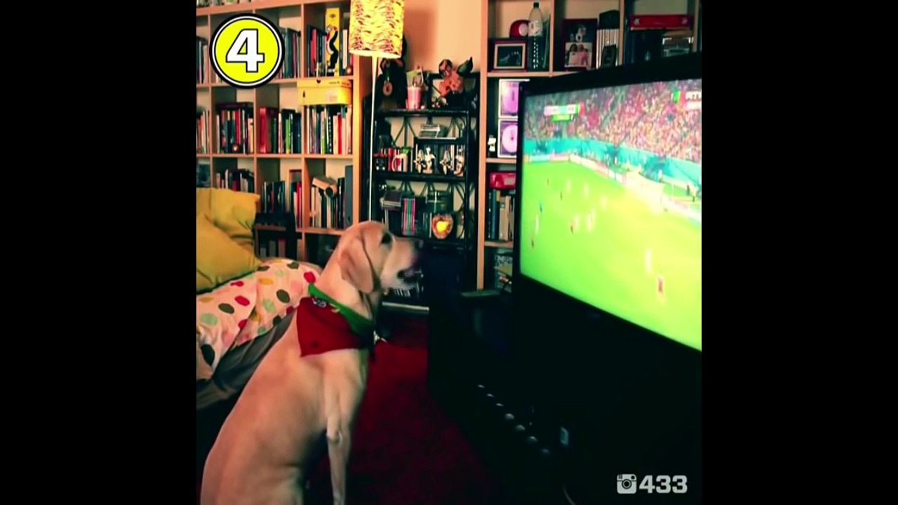 OMG! _ CRISTIANO RONALDO GETS PRANKED! - Vines #6 _ Funny Moments,Fails,Goals!