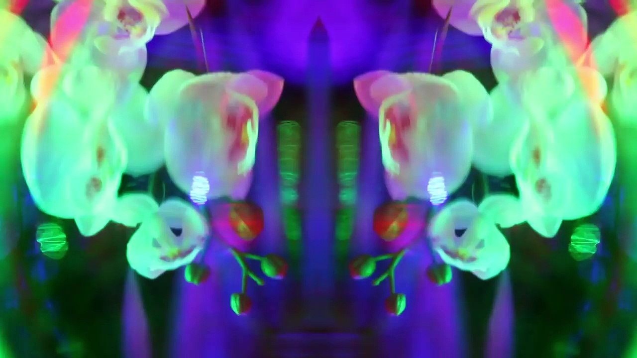 EVERYTHING UNDER (EU) INTERSTELLAR OUTPUT (FT. ARIANNY CELESTE)