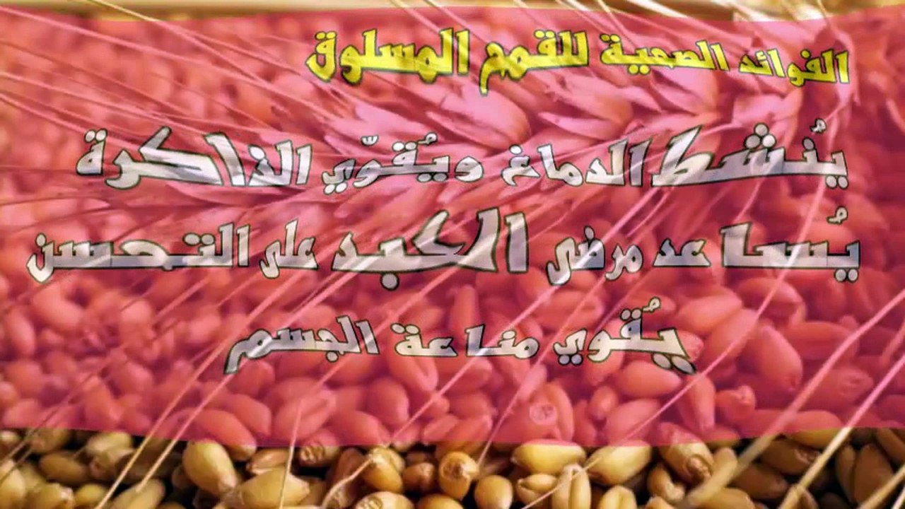 فوائد مسلوق القمح
