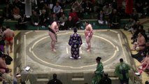 Par 2017 Gran Sumo primer día de un torneo de sumo séptimo día posterior Koyanagi