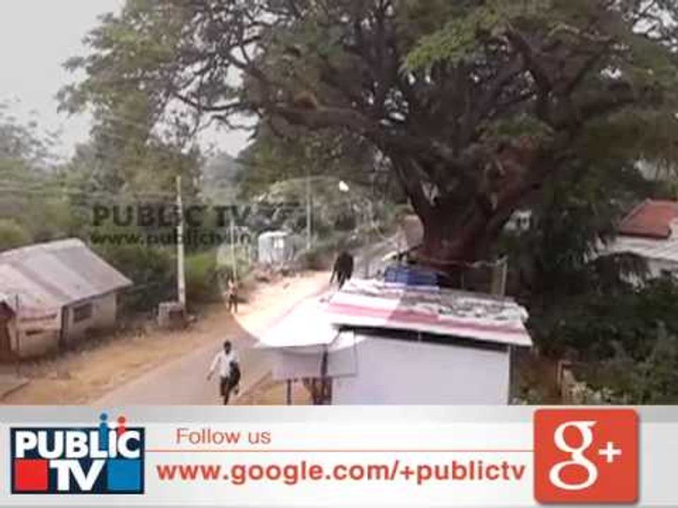 Man Escapes Elephant Attack in Mandya Karnataka
