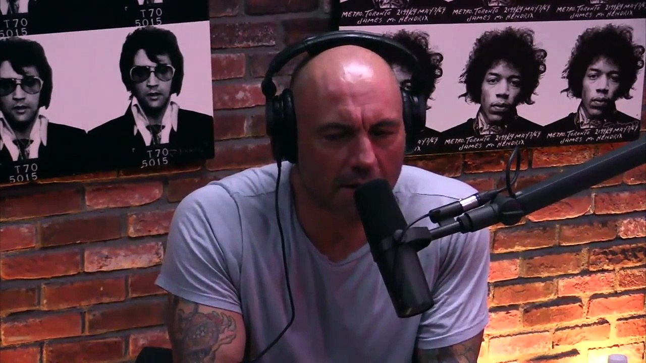 Joe Rogan & Jeremy Stephens on Drugs, Pro Wrestling, Jimmy Superfly Snuka, Fighting, Dojo