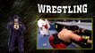Diesel and Shawn Michaels vs. Yokozuna and The British Bulldog In Your House 3 1995 WWF Ta