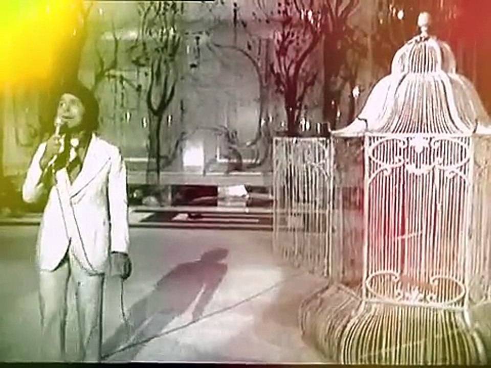 tontonpourshaolin