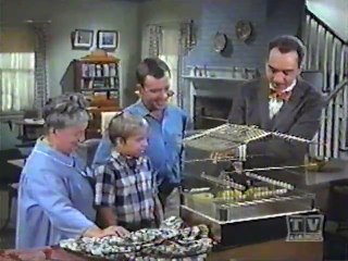 mayberry rfd -(season-2) by apm111 - Dailymotion