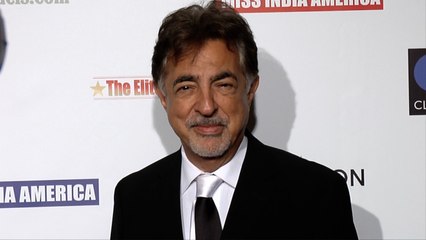 Joe Mantegna 2017 Elite Awards Gala Red Carpet