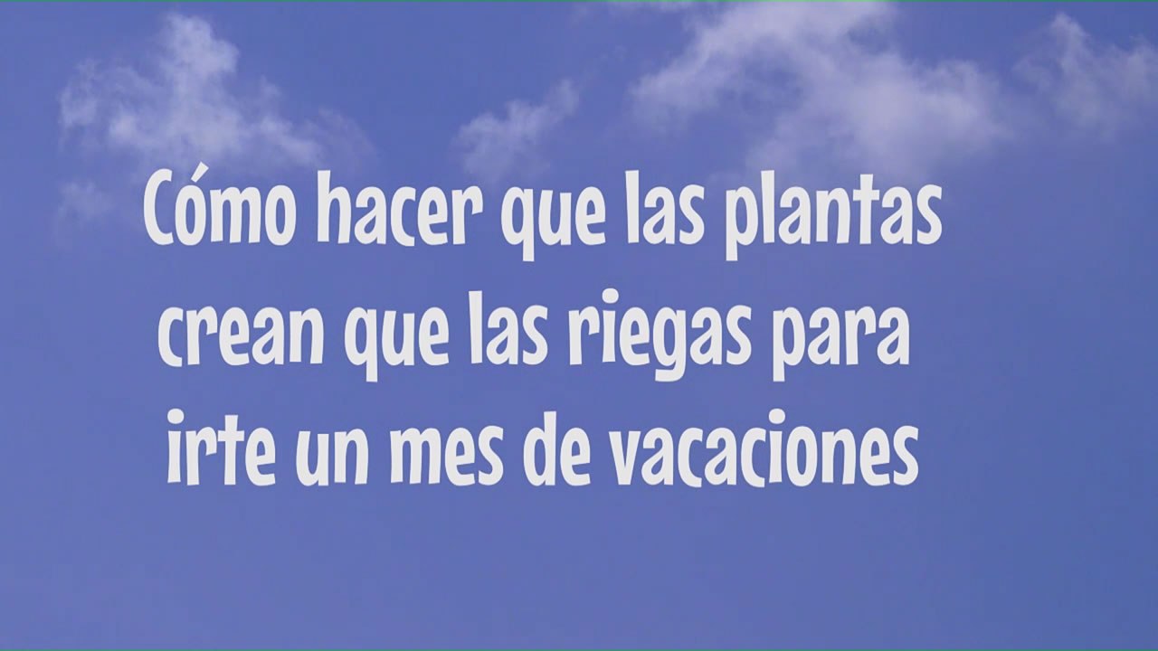 COMO HACER QUE LAS PLANTAS CREAN QUE LAS RIEGAS