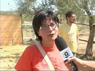 Trani, ritrovati 2 dei 4 cavalli rubati all'ass. Xiao Yan