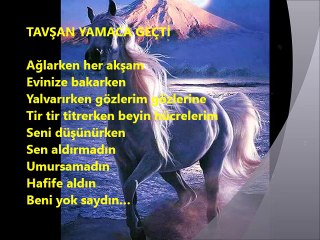 TAVŞAN YAMACA GEÇTİ-Dagbey Şiirleri (Ali Dogan)