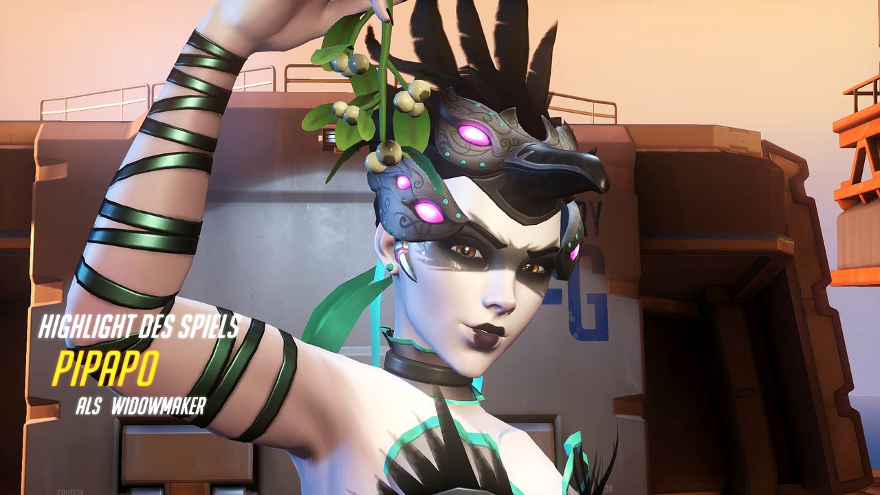 pipapos highlight widow o.o_17-08-06_09-56-23