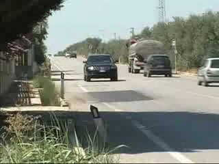 Tutto ok per l'ampliamento dell' Andria - Trani