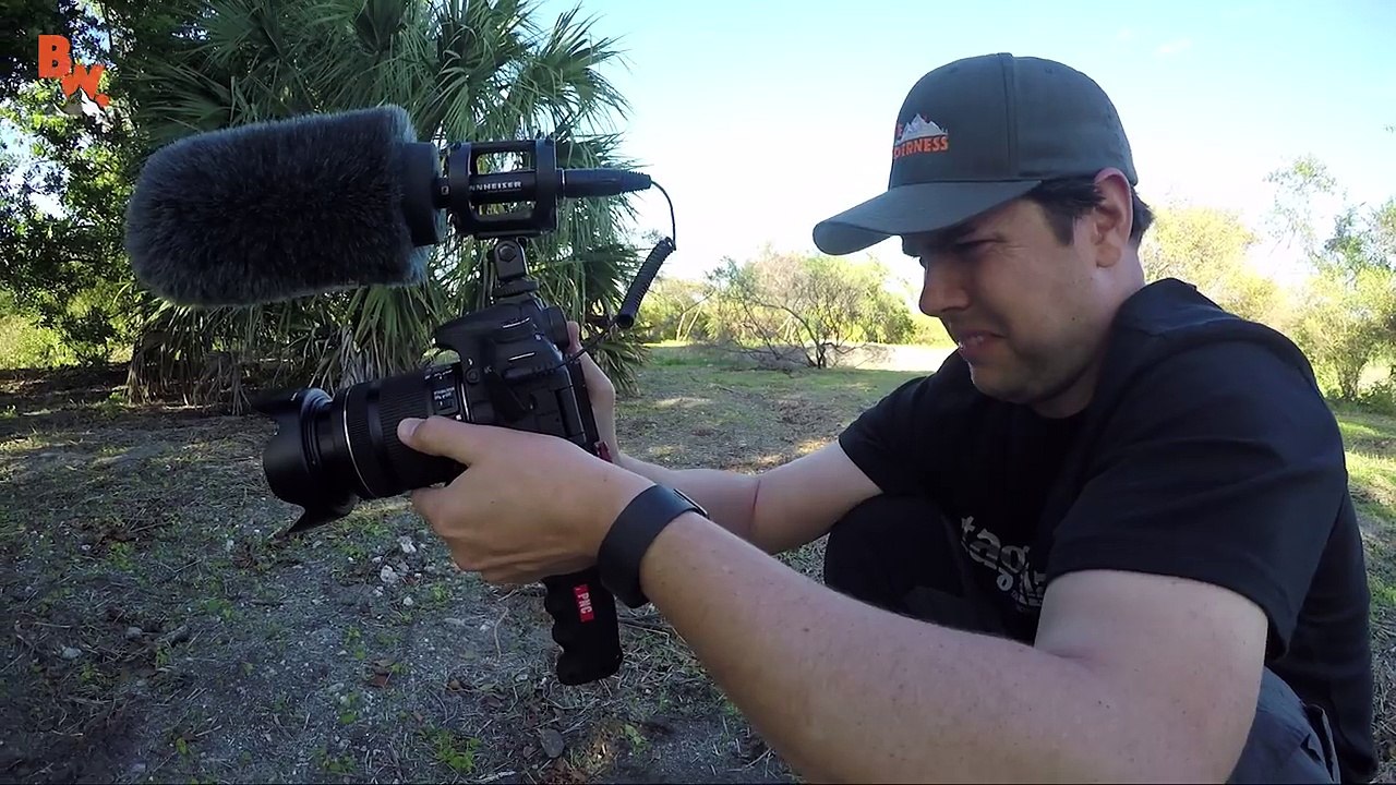 Worst Insect Stings EVER!