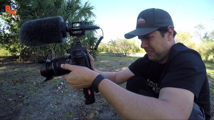 Worst Insect Stings EVER!