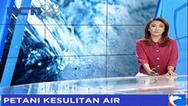 Kesulitan Air, Petani Gunakan Limbah Pabrik di Subang Jawa Barat