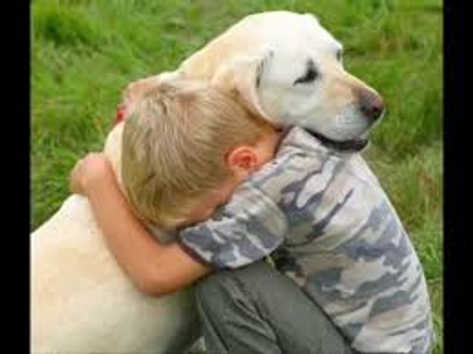 Amor a los animales