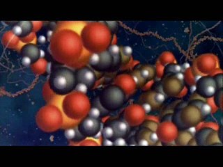 Leavened Totally-Pt2