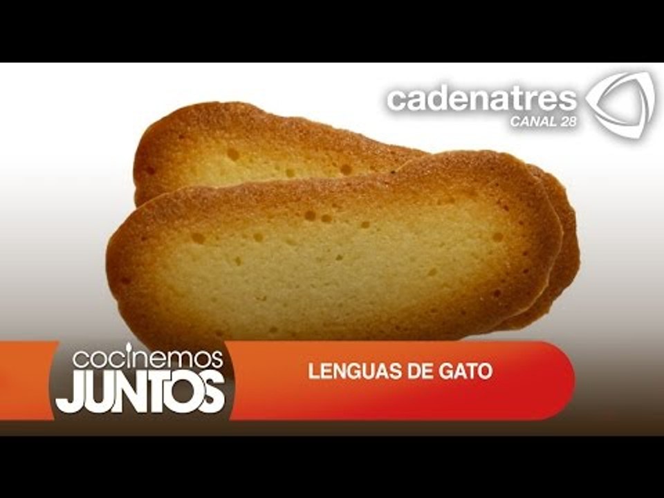 LENGUAS DE GATO ¿Cómo preparar lenguas de gato?