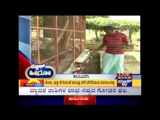 Farmer In Gulbarga Adopts Technology To Boost Crop Growth