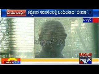 Special Coverage: Dr. B.R. Ambedkar's 124th Birthday