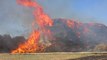 VIDEO. 15.000 tonnes de paille en feu à Brion (Indre) : la piste criminelle privilégiée
