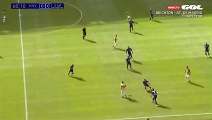 Baptistao Goal HD - Hamburg 0-1 Espanyol 05.08.2017