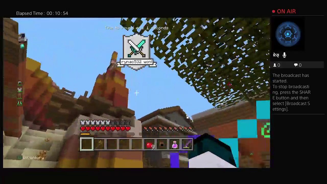 Minecraft stream (4)