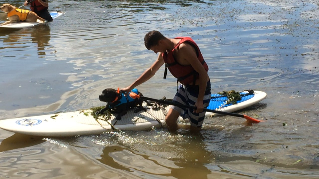 Canipaddle à Bains sur Oust