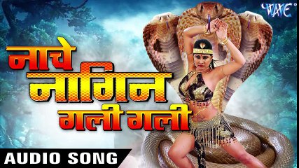 2017 Ka नया सबसे हिट गाना - Priyanka Pandit - Nache Nagin Gali - Bhojpuri Hit Song 2017