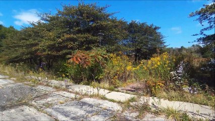 Bebop Drone over Long Grove
