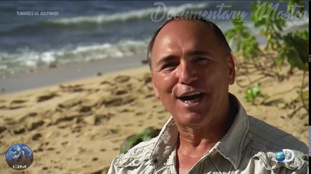 Tubarões vs Golfinhos (HD) - Shark Week 2017