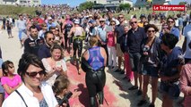 Plouescat (29). Triathlon : la foule des grands jours, sous le soleil