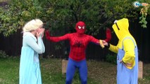 Frozen Elsa & Spiderman MAKE CHRISTMAS TREE! w/ Hulk Disney Princess Superhero IRL