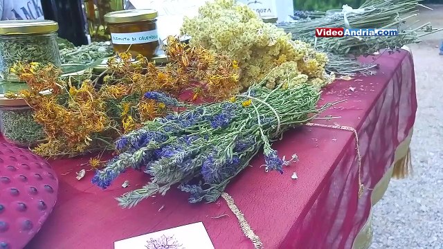 Andria: dagli orti sociali all'autoproduzione, sino alle erbe medicinali. Successo per l'evento di Legambiente