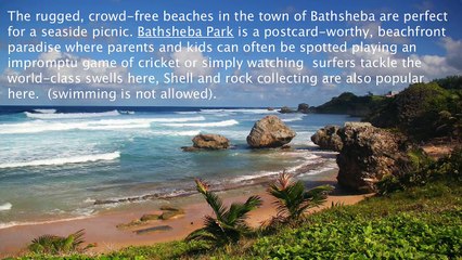 Update on TripSavvy  Fun Barbados Things To Do with Kids on Vacation