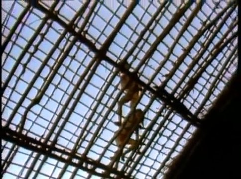 Primitive Tribes of the Amazon ► Documentary on Isolated naked Tribals Full Documentary #30