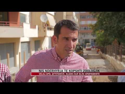 Nis ndërhyrja te Kopshti Zoologjik - News, Lajme - Vizion Plus