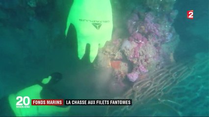 Pour préserver les fonds marins, Sea Shepherd fait la chasse aux "filets fantômes"