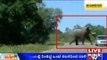 Kollegal: Speeding Car Escapes From Bull Elephant Attack